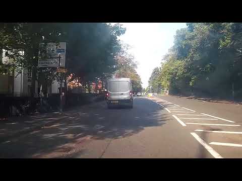 Engine Squeak Toyota Auris