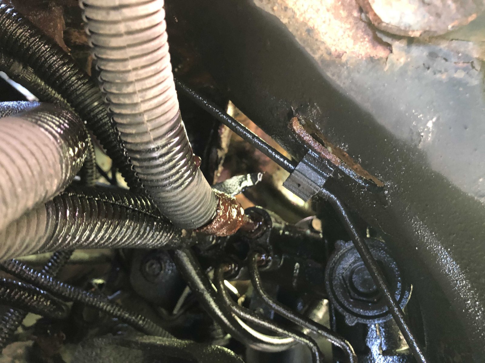 transmission fluid leak