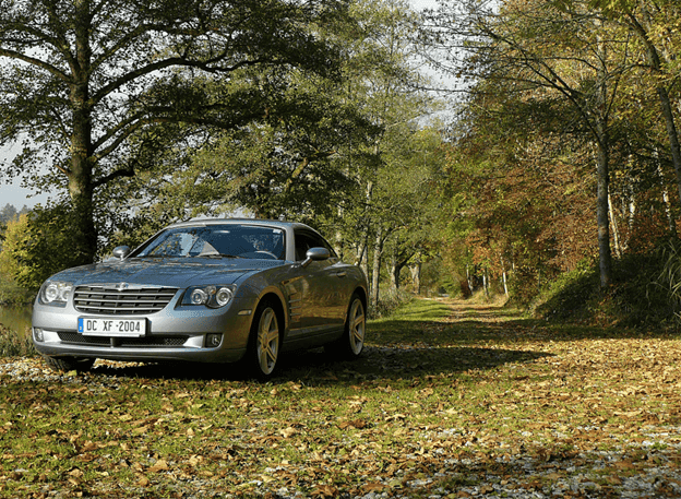 Audi Coupe in woods